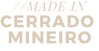 Logo São Bernardo